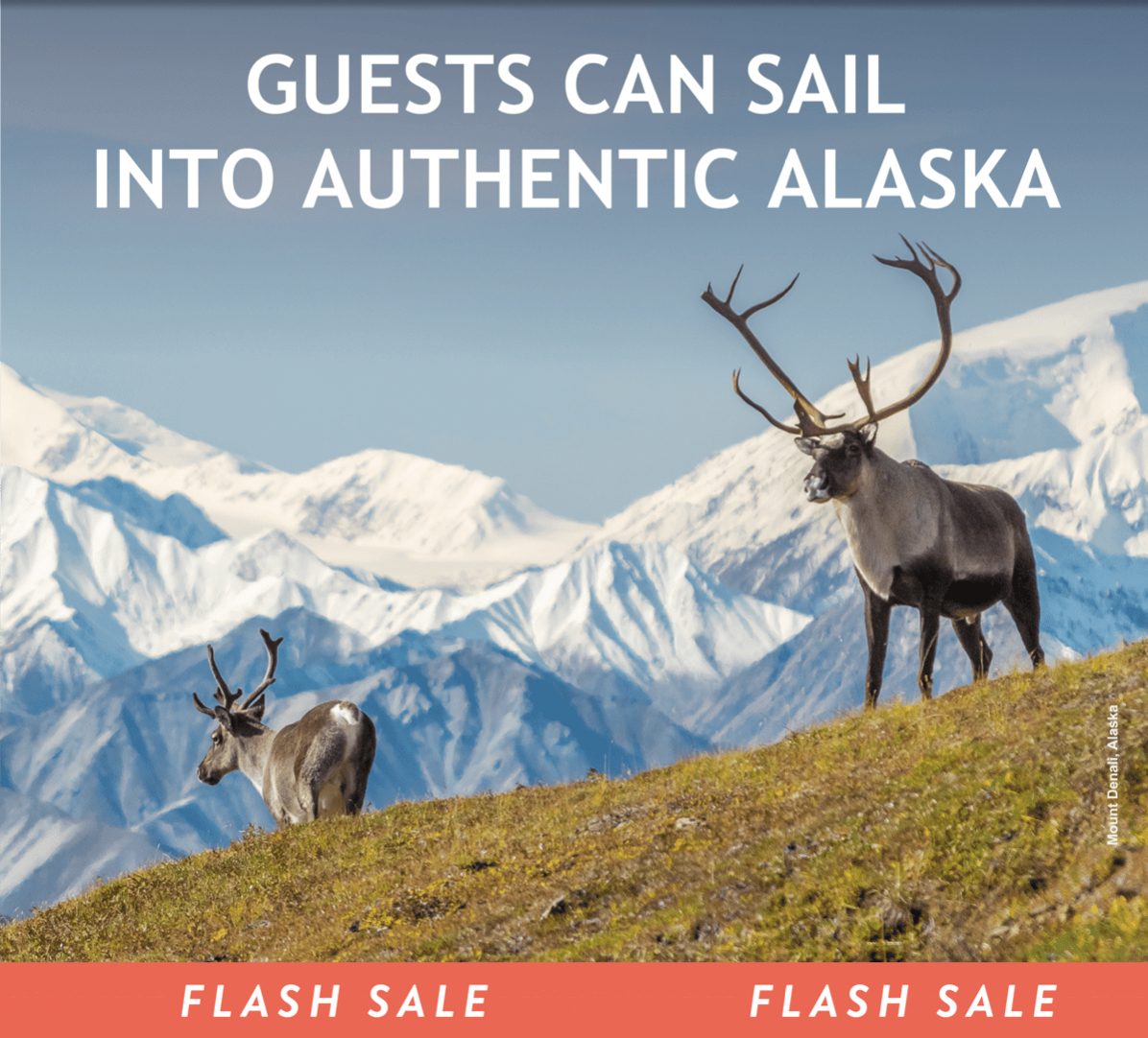 Sail into authentic Alaska — Alaska Cruisetours now open for booking: beyond the shore