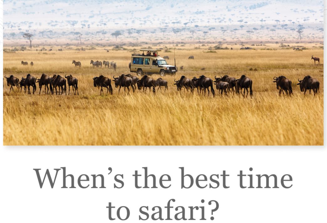 **INFORMATION ON VISITING AFRICA** — When's the best time to safari?