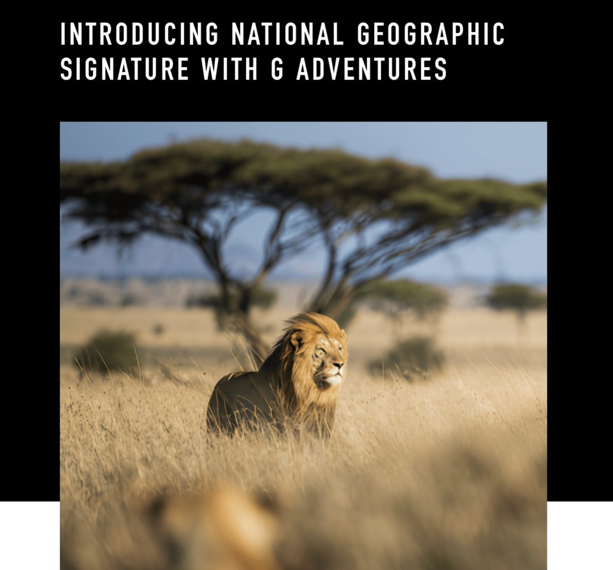 Three styles, a world of possibilities — National Geographic Signature, Journeys and Family Journeys
